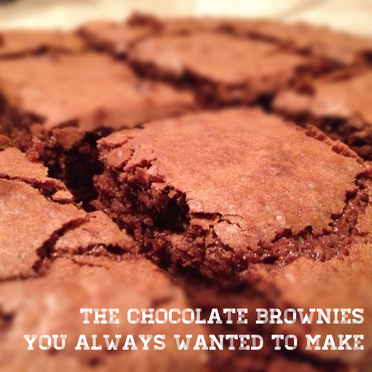 best chocolate brownies